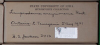 Image Associated With the Occurence